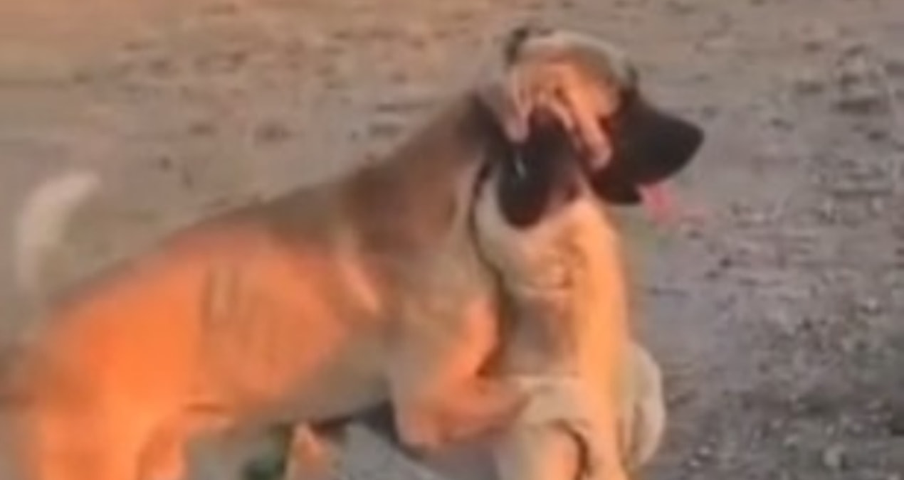 haber-gorseli-1786450750596